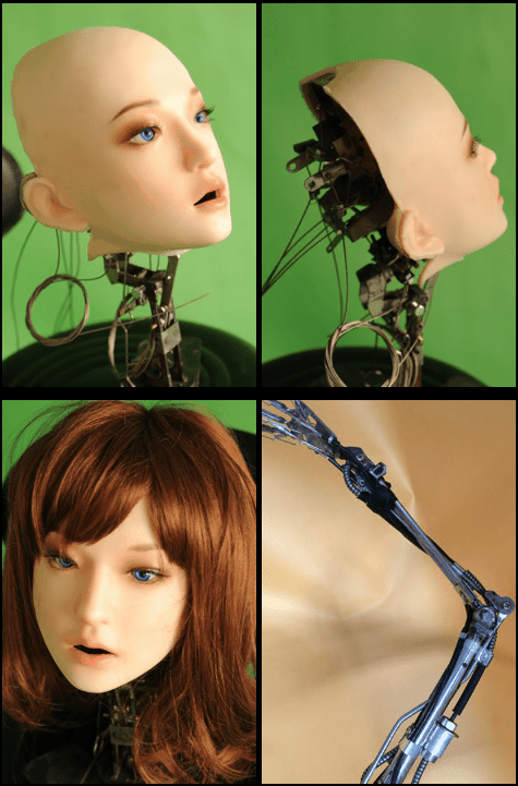 Initial Robotics from DS Dolls & EX Doll