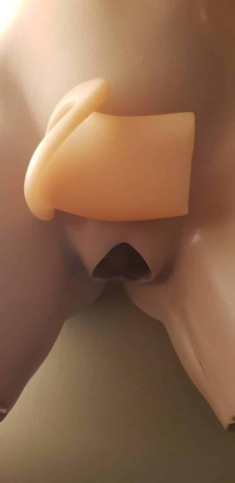 EX Lite Transgender Conversion Kit