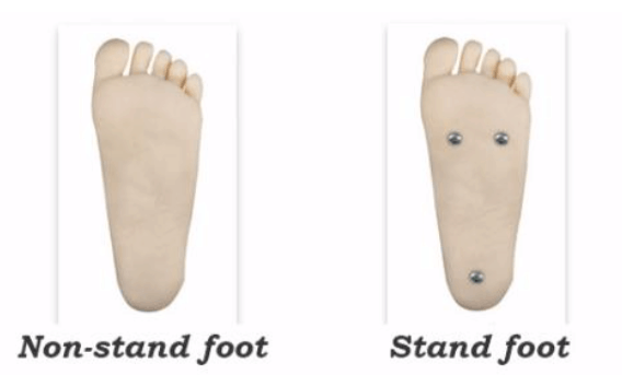 Sex Robot Feet Choices