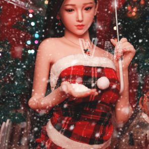 WM Doll Silicone 3 Head 165cm TPE Body Sex Doll
