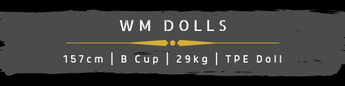 wm doll 157 B Cup 29KG TPE Sex Doll