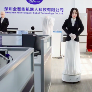 Emma Assistance Robot