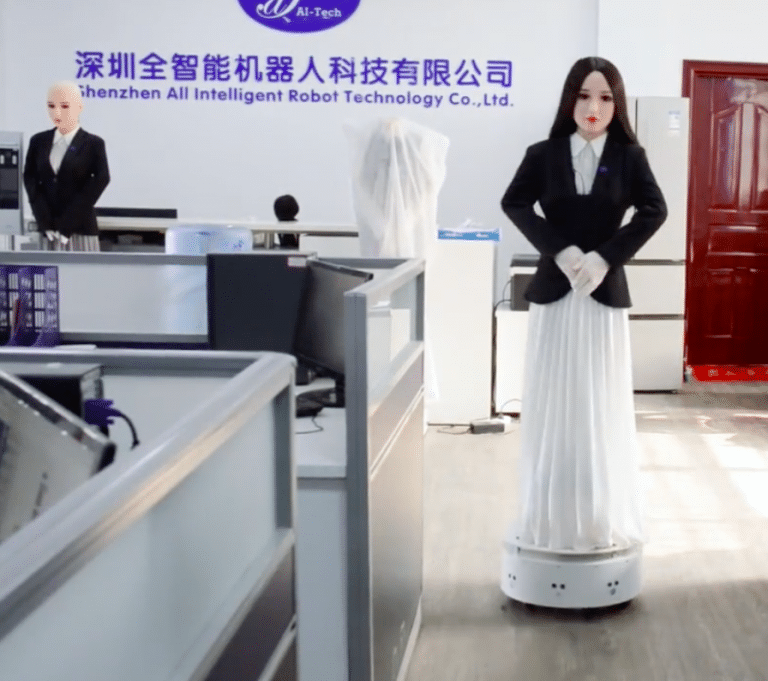 Emma Assistance Robot