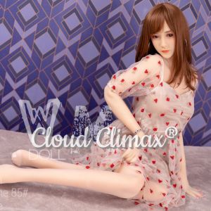 WM Doll Silicone 85 Head 165cm TPE Body Sex Doll