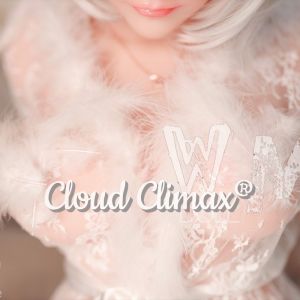 WM Doll 165cm D Cup with Head 85