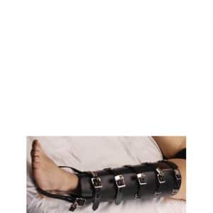 ab528_3