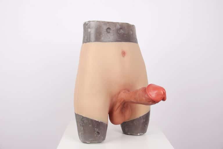 Be You Silicone Prosthetic Penis Briefs