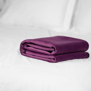 Liberator Mini Fascinator Throe Aubergine