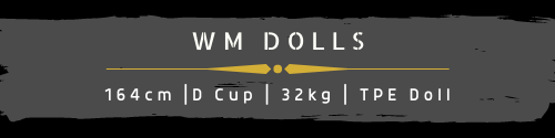 WM Doll 164cm D Cup
