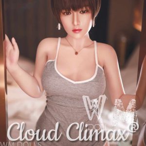 WM Doll 165cm Silicone Body with Silicone Head 10