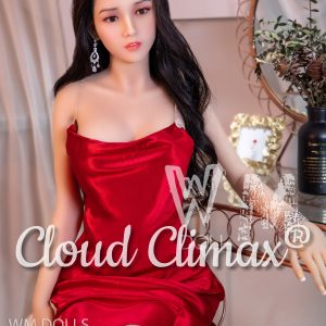 WM Doll Silicone Head5 with 165cm TPE Body Sex Doll