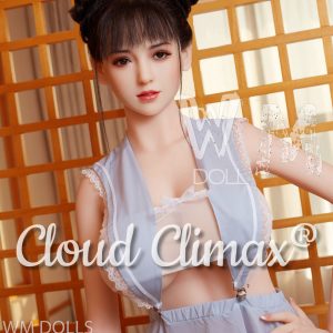 WM Doll 168cm E Cup Silicone Head 16