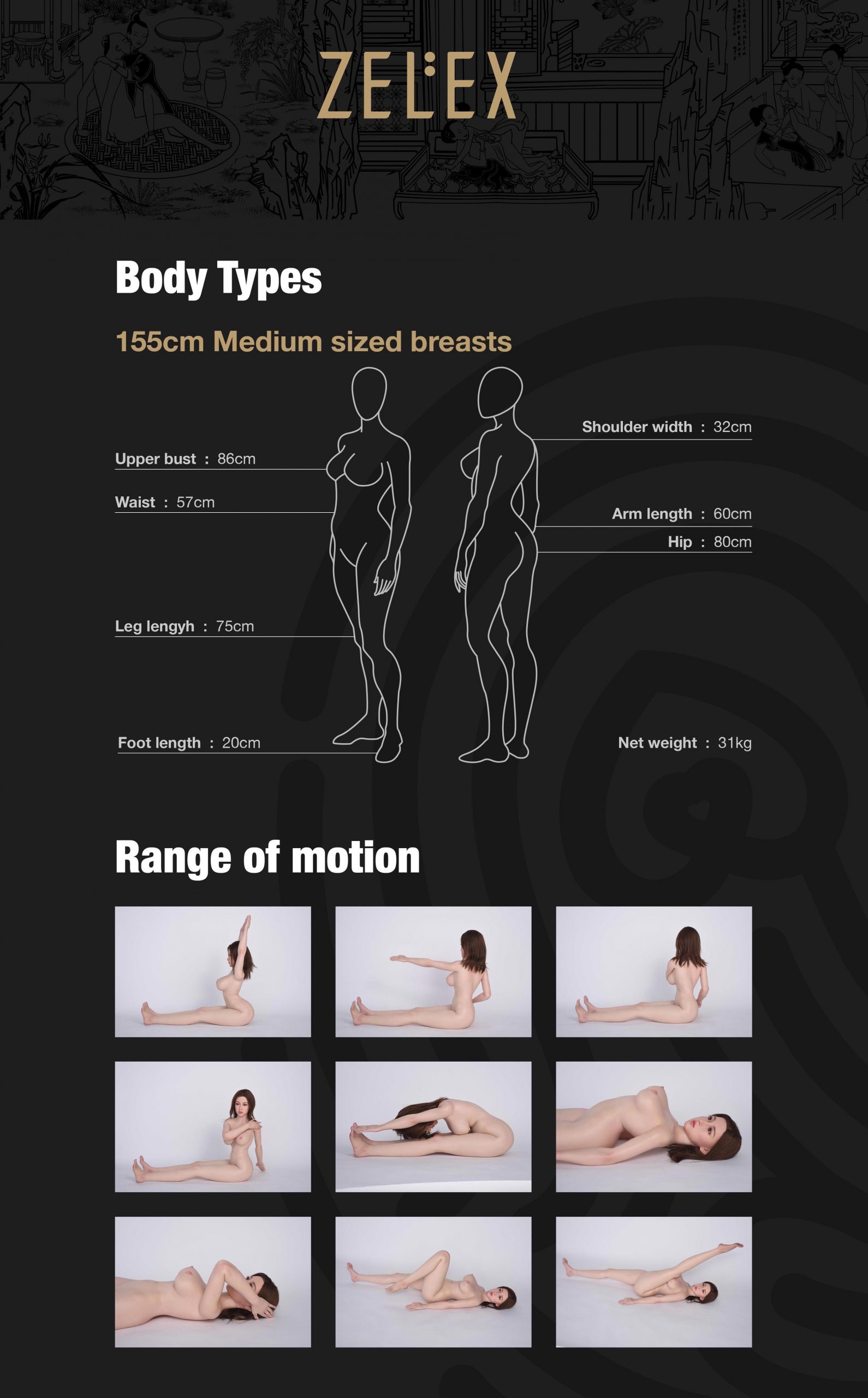 Zelex TPE 155cm Medium Breasts Body Measurements