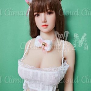 WM Doll 158cm C cup with Silicone Head 3
