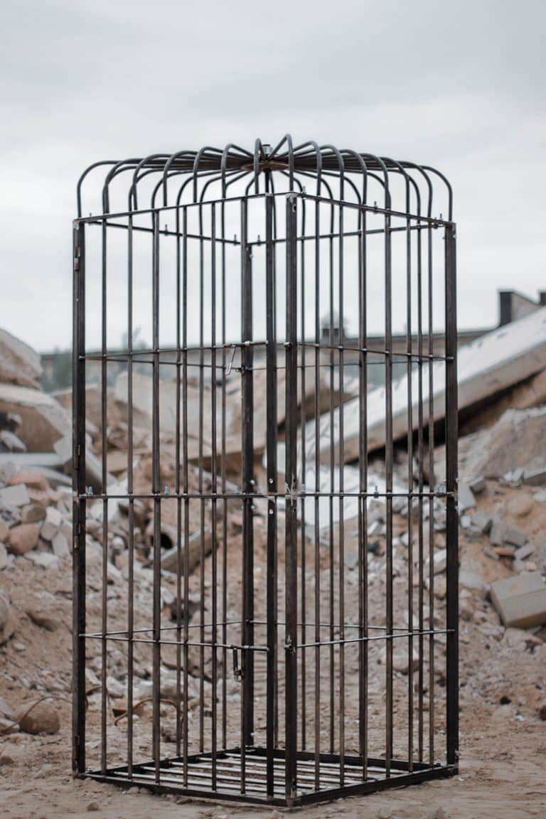 Massive-cage-1