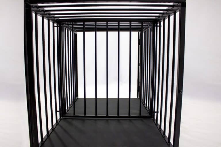 adjustable-xxl-cage-02-rs