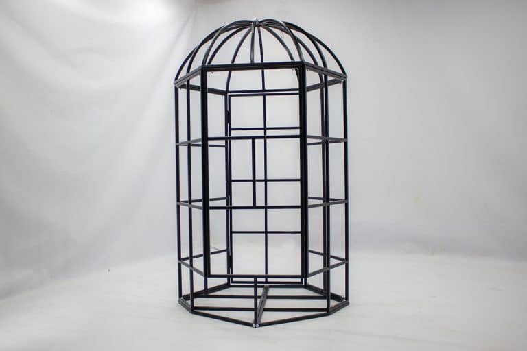 bird-cage-01