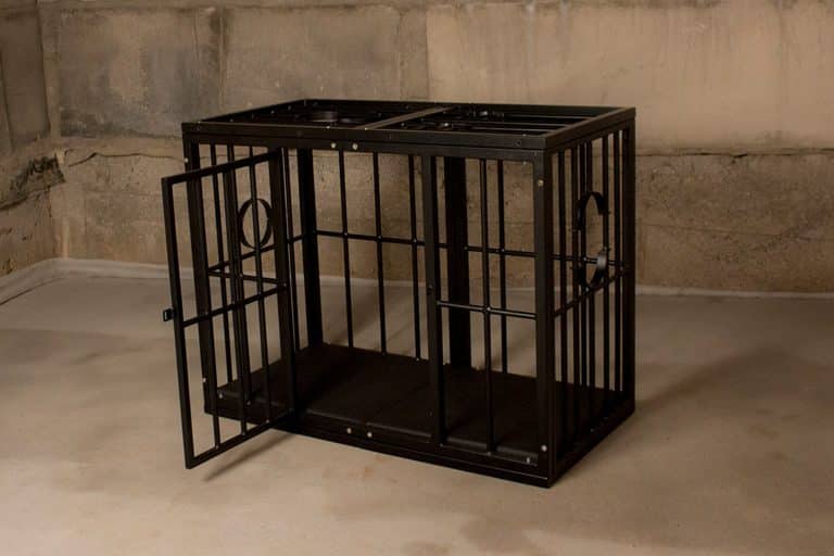 cage-with-cuffs-01