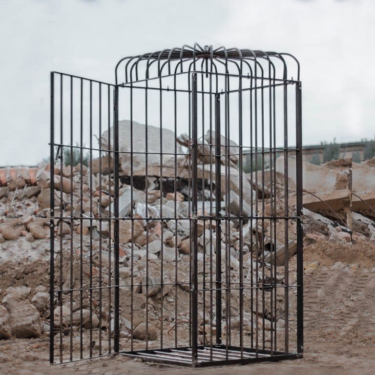 massive-cage-00