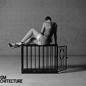 sex-cage-08-saitui