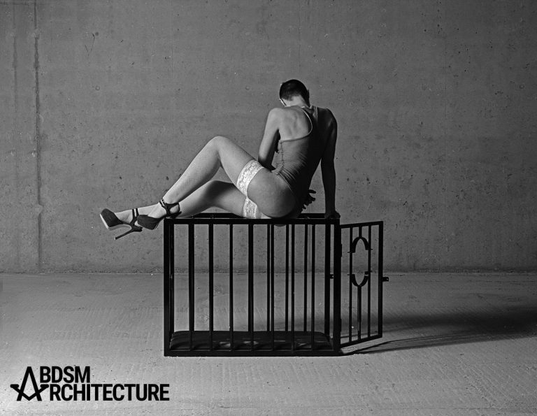sex-cage-08-saitui
