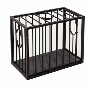 sex-cage-main-00