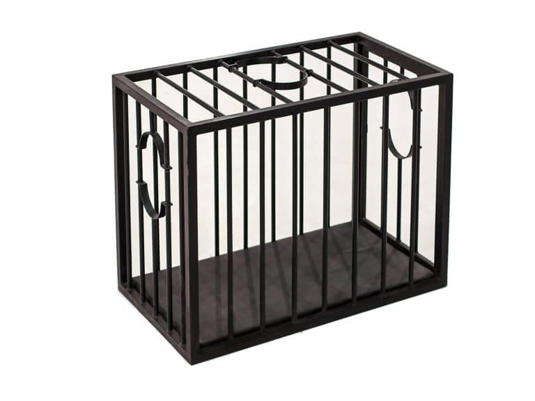 sex-cage-main-00