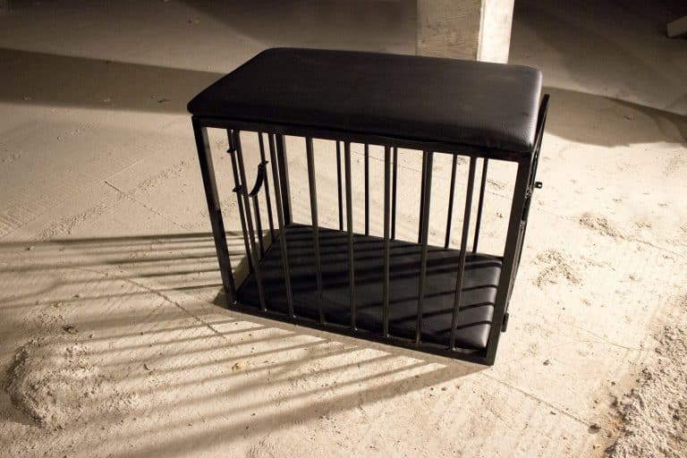 sex-cage-top-pad