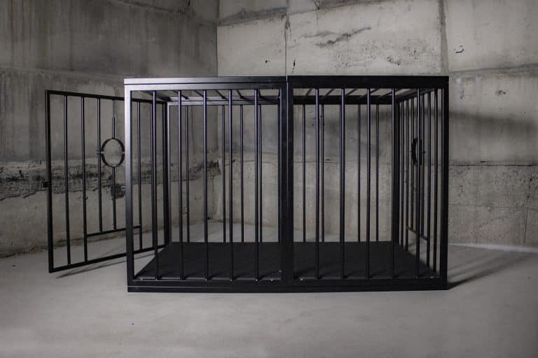 xxl-cage-01