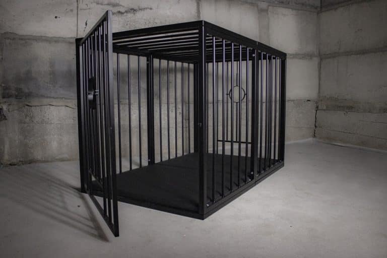 xxl-cage-02
