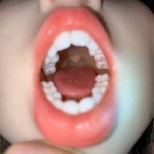 oral structure (2)