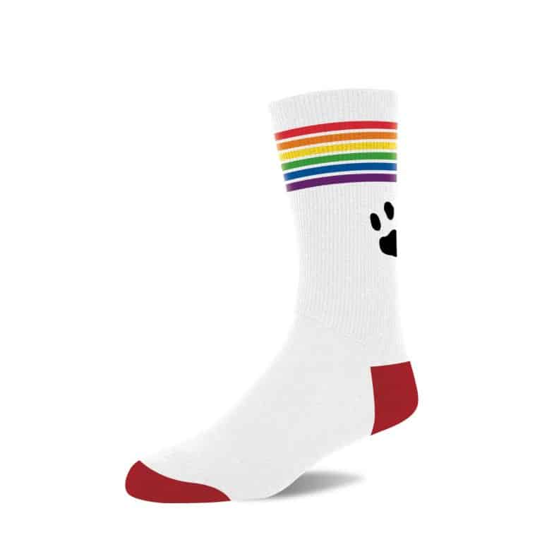 mockup_pr-sock-whtpride_single