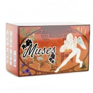 Muses_Fillo_Packshot_600x600