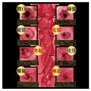 japan-npg-meiki-amami-tsubasa-40th-anniversary-onahole-600-g-male-masturbators-meiki-series-npg-289764_1400xG15b6P4rAA5cm_600x600