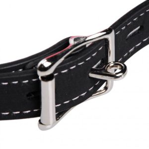 ae658-bulk-buckle_750x670