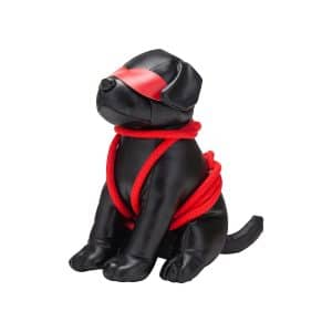 prp-003_rover