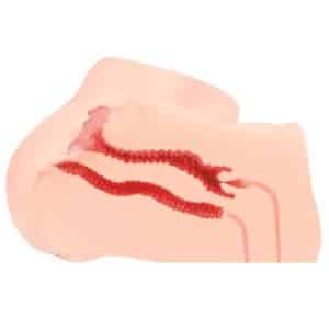 m01-003-11d_9