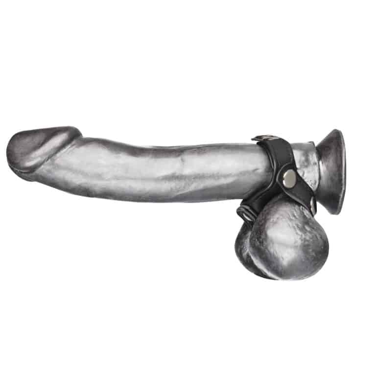 blm1722_with_dildo