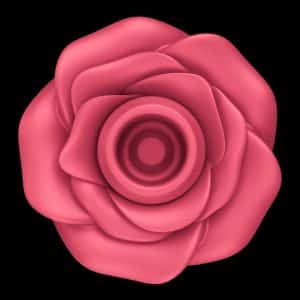satisfyer-pro2-classic-rose-5-72dpi_1