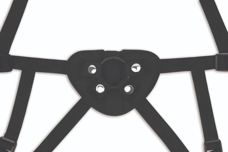 myu-p-002.2