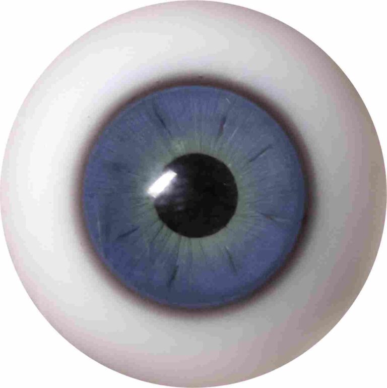 eyes