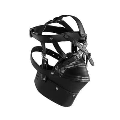 Head Harness with Zipup Mouth and Lock Black