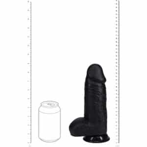 rea170blk_dupe2