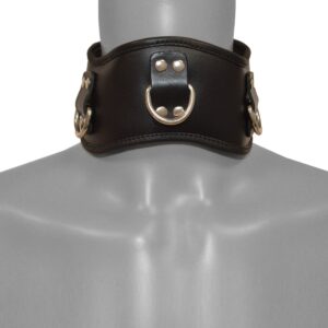 prl-cl-006