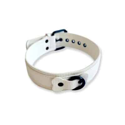 BRUTUS Vegan Puppy Collar White-White