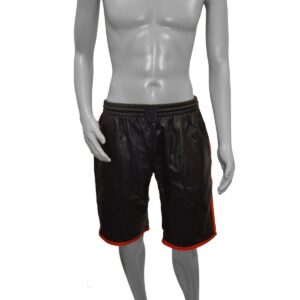 prl009-l-r
