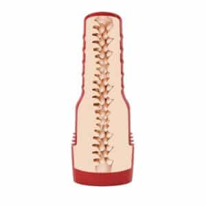 fleasa-fleshlight-fantasy-evie-akashiya-texture-in-case