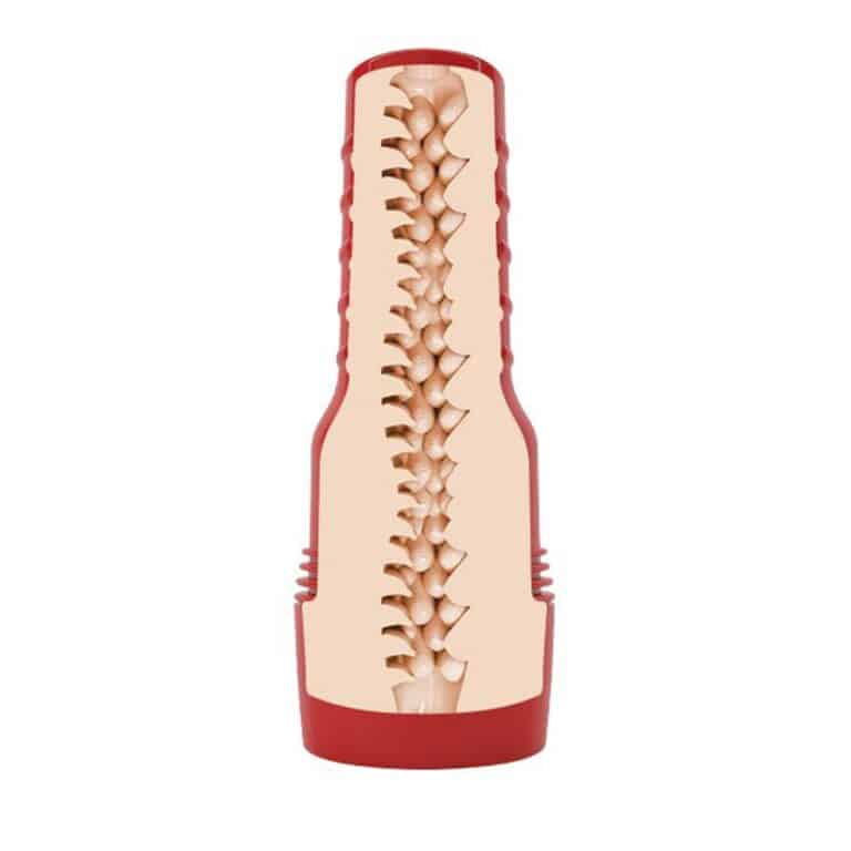 fleasa-fleshlight-fantasy-evie-akashiya-texture-in-case
