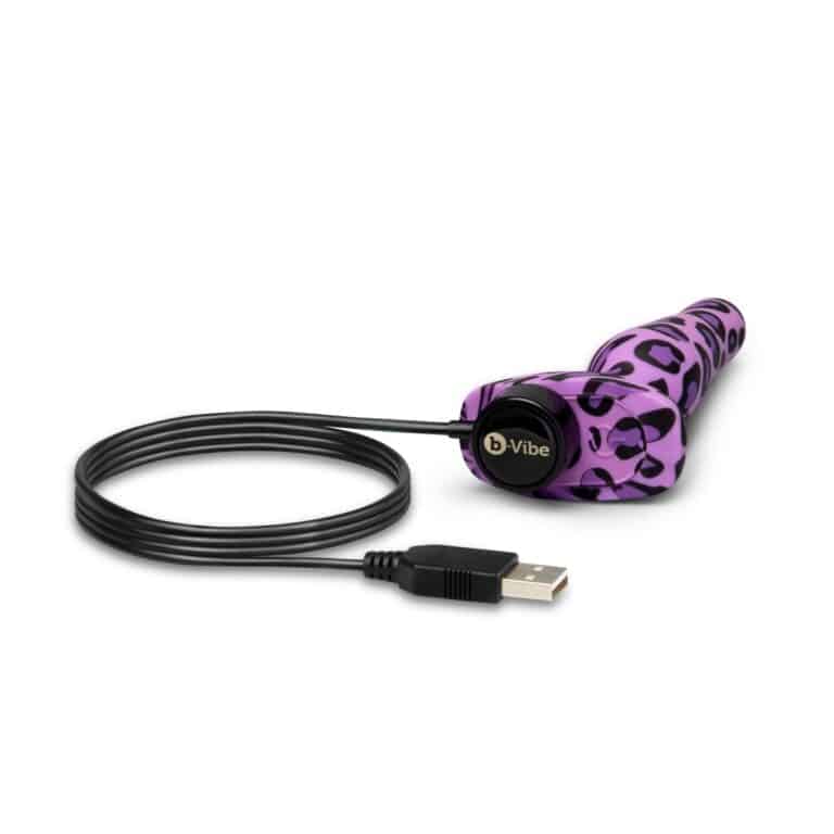 bv-004-leo_novice_leopard-9_4000px_