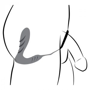 1625150539.AF871_5